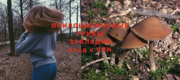стафф Богородск