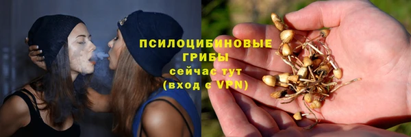а пвп мука Богданович