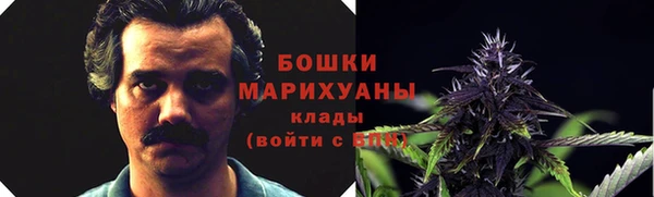 стафф Богородск