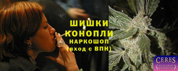 стафф Богородск