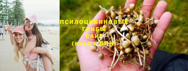 стафф Богородск