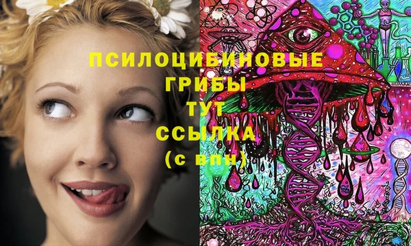 mdma Богородицк