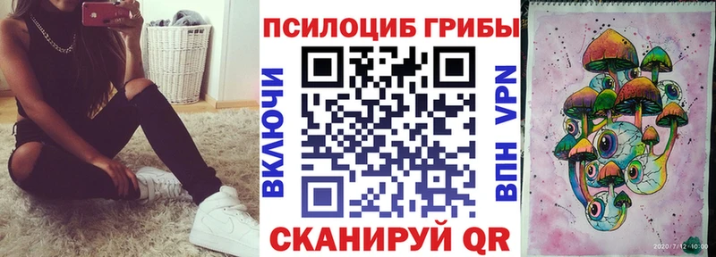 как найти наркотики Мичуринск Псилоцибиновые грибы ЛСД